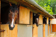 free Heugh stable construction quotes